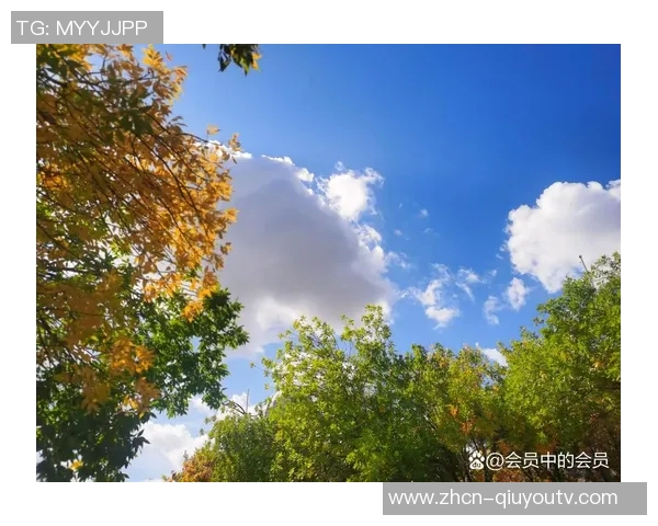 足球的足与人生的旅程如何交织成一幅精彩的画卷